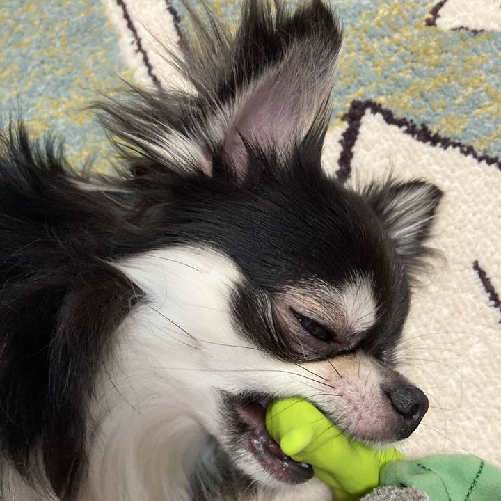 2666f697 b23f 4a7a a926 0d5d0e05492c 1625324887588