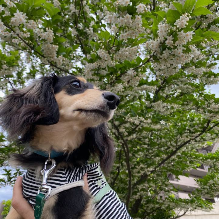 2666f726 bcb9 4c9b 99b8 640c49b51671 1683848783978