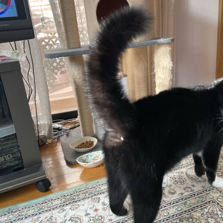 26672680 30b1 4b7b b345 3f2a99b2d166 1696200390593