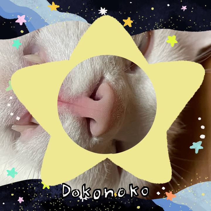 266735d3 b963 440b aebe ecb52a943db0 1721138109888