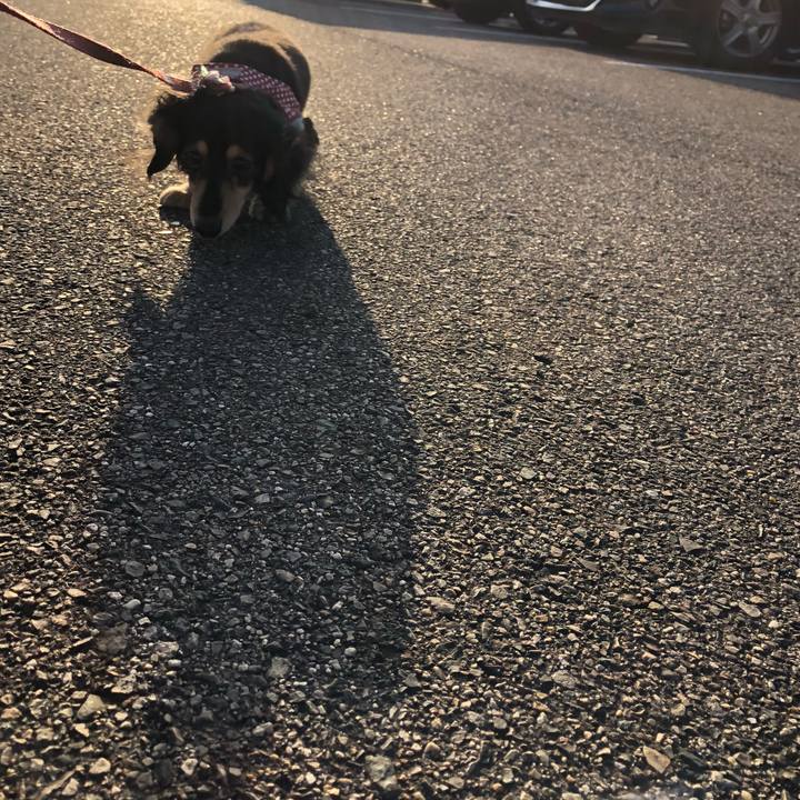 26675c21 02eb 44db 8a59 0bc2f83441cf 1549264964963