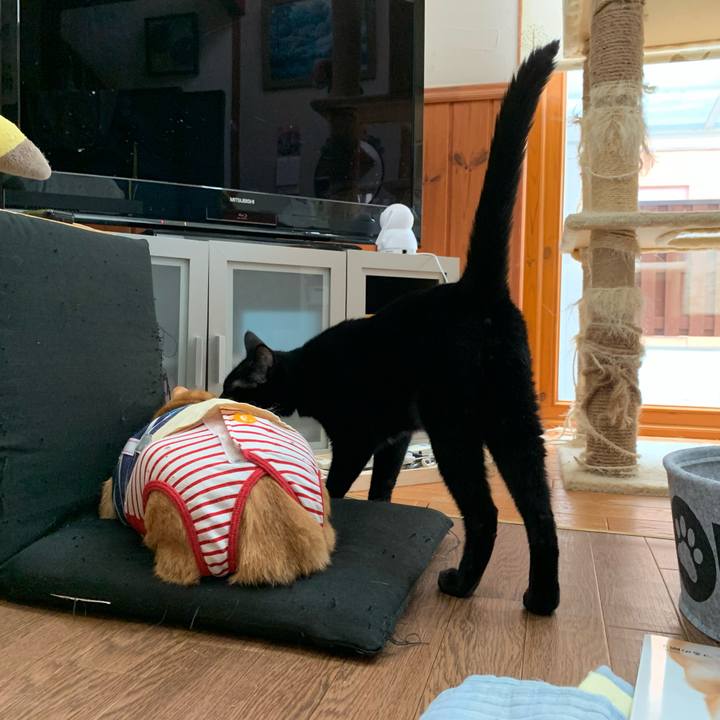 2667730b 068a 426f 9a6e 30a5c230ee85 1600769151887