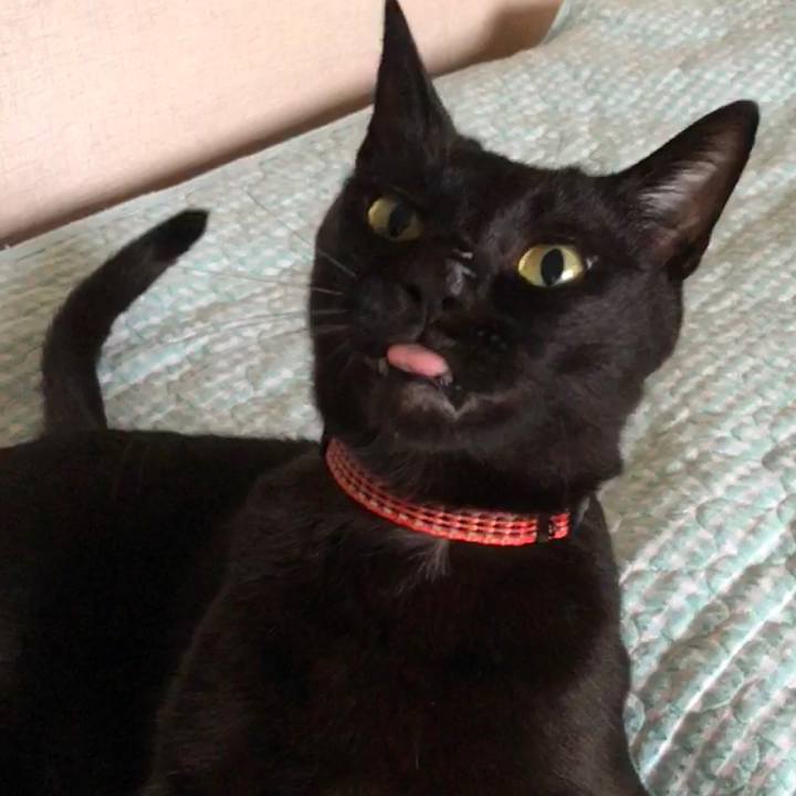 2667a799 5c4b 4510 91b7 736105a699e9 1724057596710