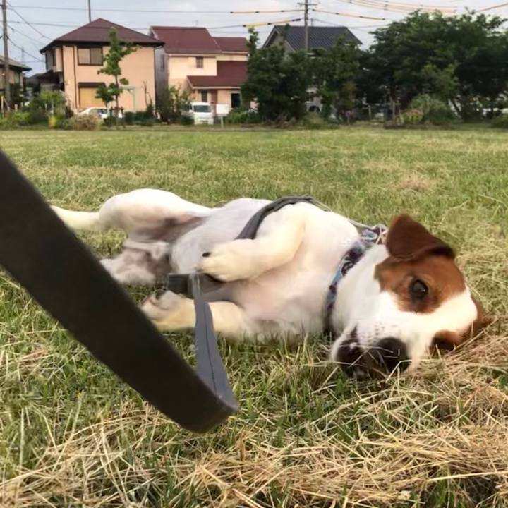 2667ca73 777b 4a5d 83e9 de666ed93c44 1559985126856