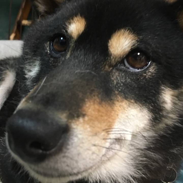 26680573 16fe 440e 856a 4e9b7f3526c6 1523937241562