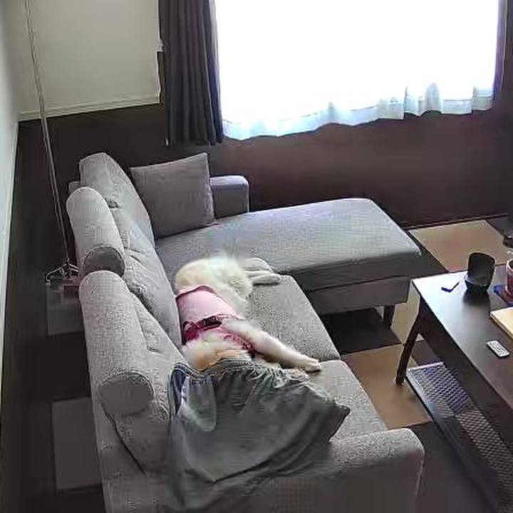 26684206 cac4 4dd7 bfcb da614f9d890f 1718248191576