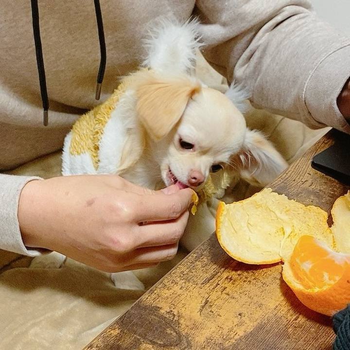 266848a2 cdac 4e30 bc04 6ac582a16bd0 1609324736210