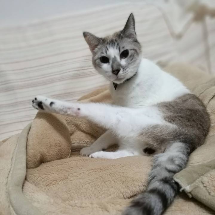 26684b0d 0860 40f0 ac9b 547a34327398 1510648951360