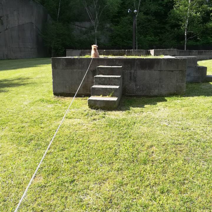 266850ee 6e97 46d6 99d0 a16469f5159c 1529199709310