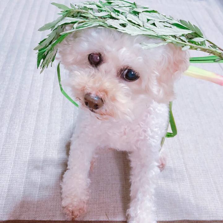 26686170 5048 4ed7 a8d7 eb275449d6c4 1559827138130