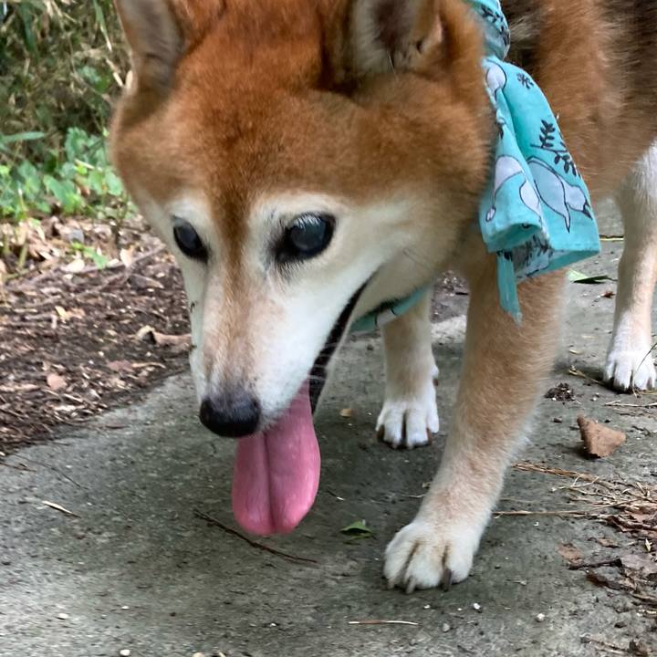 2668b903 fab8 40f1 b095 89db5d8b22f8 1691727477358