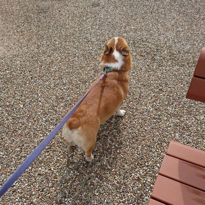 26690558 b38c 4eee aa65 2428088dc65d 1598571654564