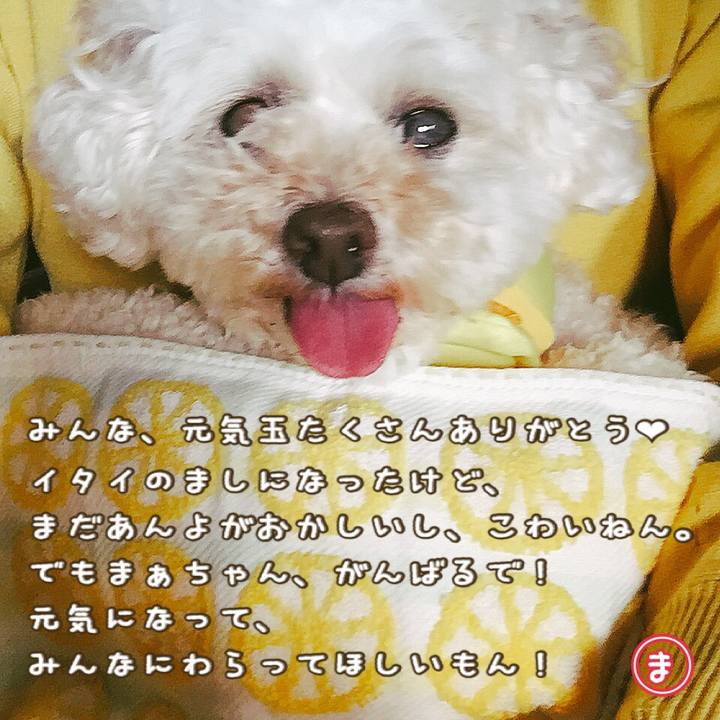 2669263d 78a8 479b 9695 d45f5efc6b5b 1525388679591