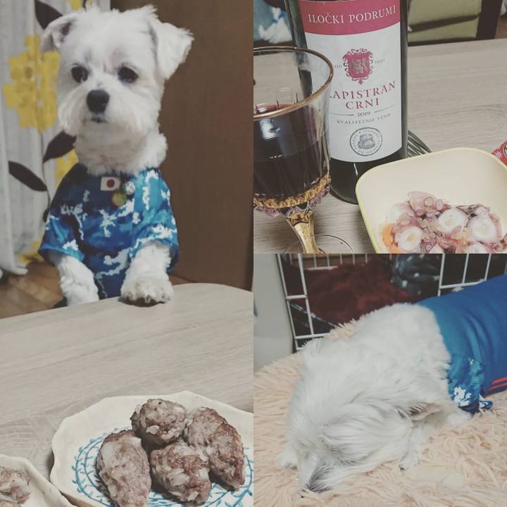 2669350f a348 46eb 8a54 64687a5a6a0b 1670330816193