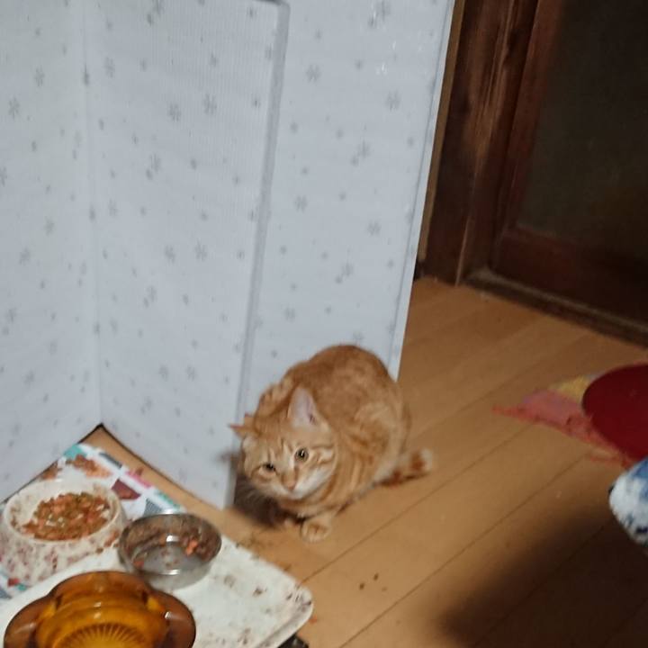 2669358a 4f81 4adc aed9 b51a560f408d 1645824137091