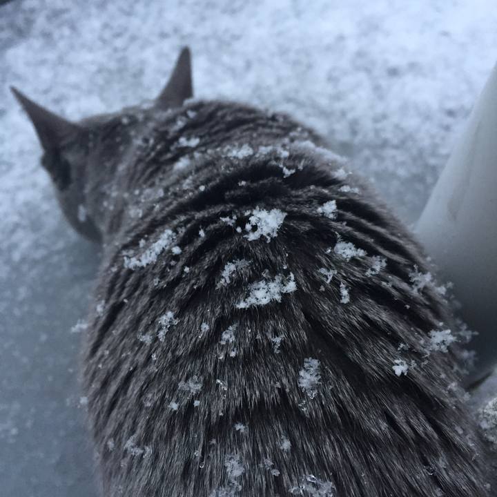 2669a32b 52d0 4389 808d 323cbf0cccf2 1517546193487