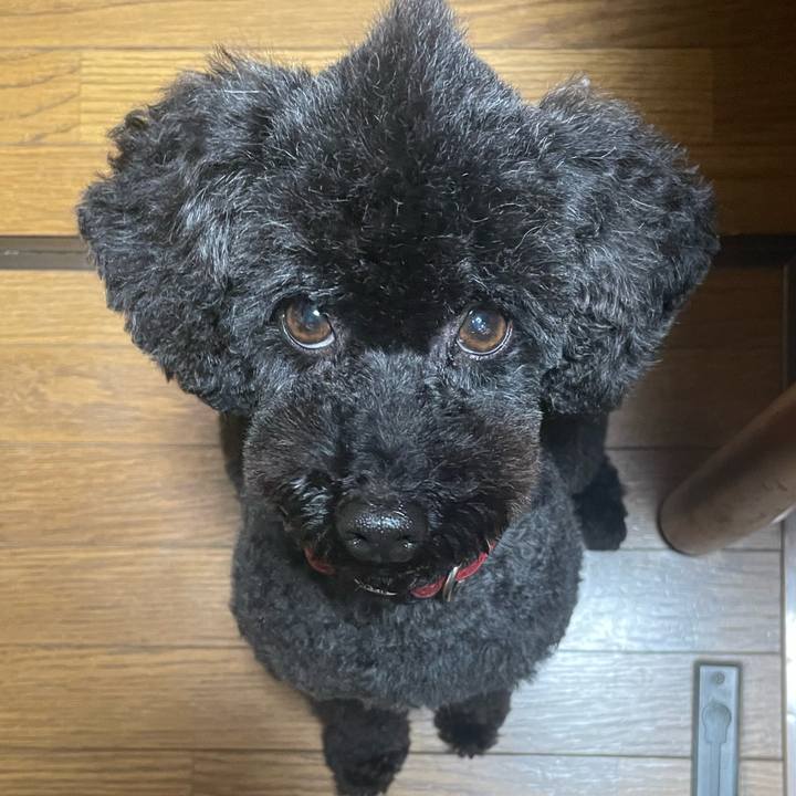 2669ac2a 129c 4f7c b172 614ca182cf3c 1640408889894