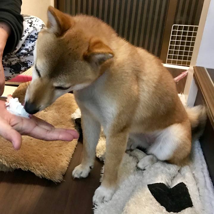 2669af2f 836f 4763 a812 3a1b2a7ef021 1522929768655