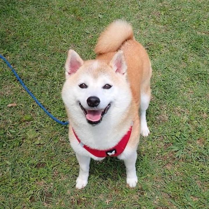 2669d133 982d 4815 be1a d35573780ca4 1760305104398