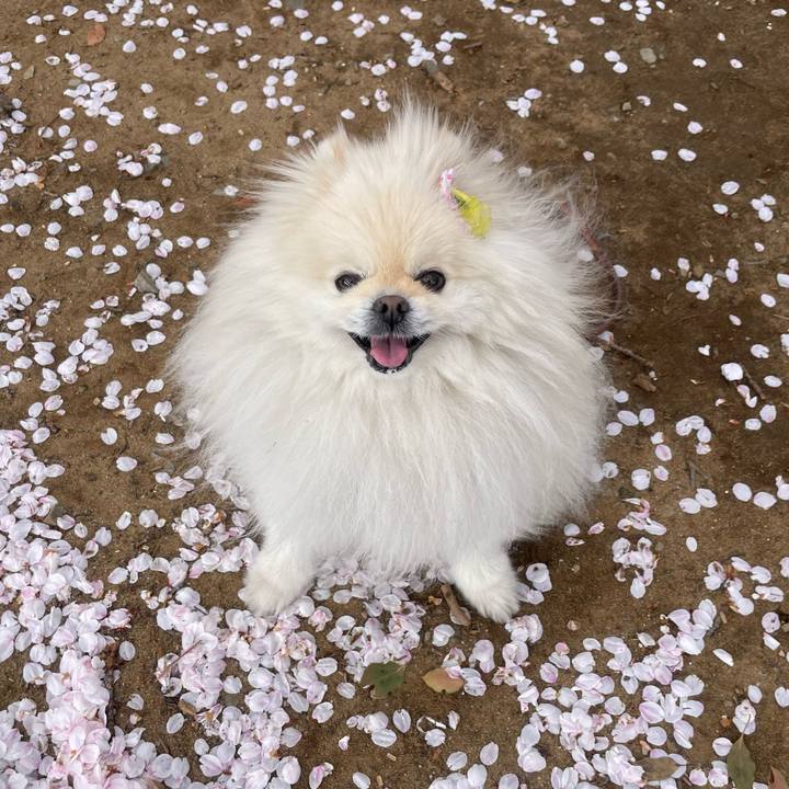 2669d998 1c46 48f9 8540 c7d8fb51e637 1743986612606