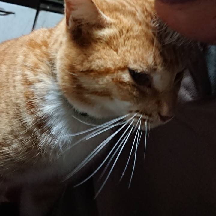 2669f48d 26f6 4d0a 9381 6523ba42c64c 1581022135487