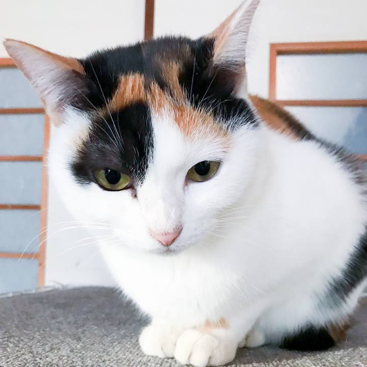 2669f966 923d 4df1 aa0e e670cd2f7aed 1515249447503