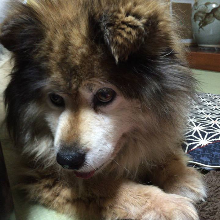 266a5ae6 2fd4 4ee1 8777 14a2eb058fda 1549107636789