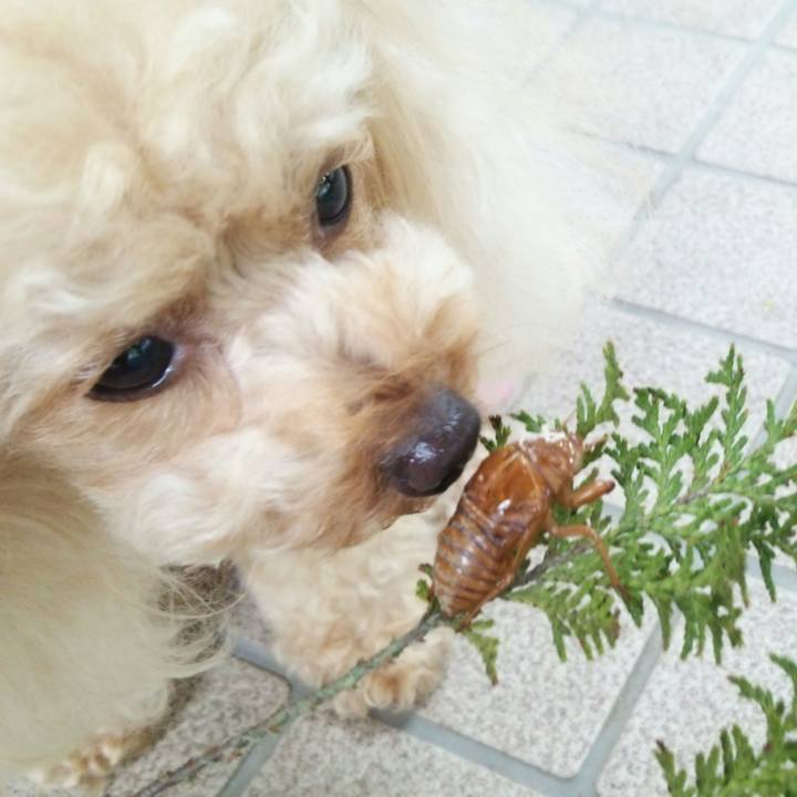 266a6786 352c 4a61 a5f5 4822483b986b 1532754589722