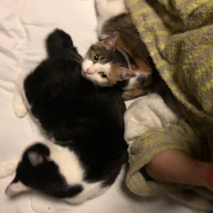 266a833b dddc 4a15 a84d 0abe3b7f404a 1584116766738