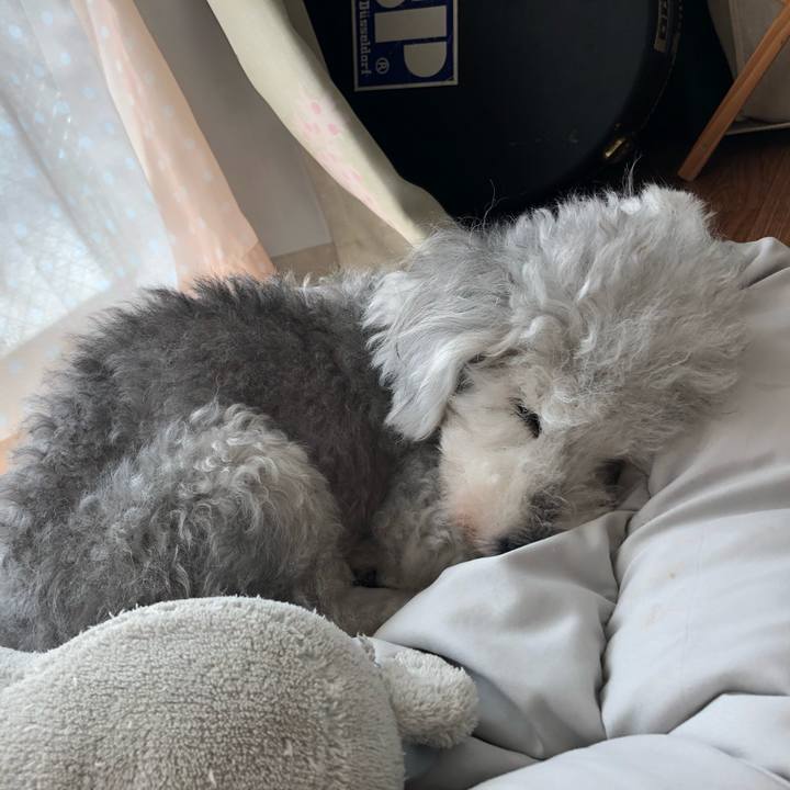 266a8ea6 5b9c 49a7 826a cea3a9a988a5 1629694596858