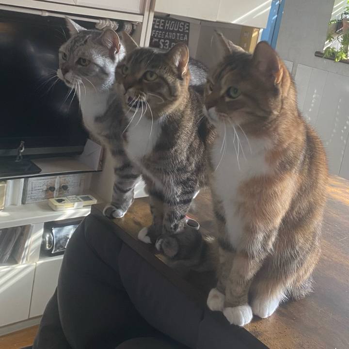 266a938d c6dc 4e61 8041 f8648d295260 1767151357398