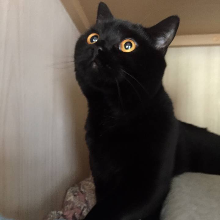 266a96d0 77e0 4c3e 8d5a 36abf5ad1c4b 1524745982746