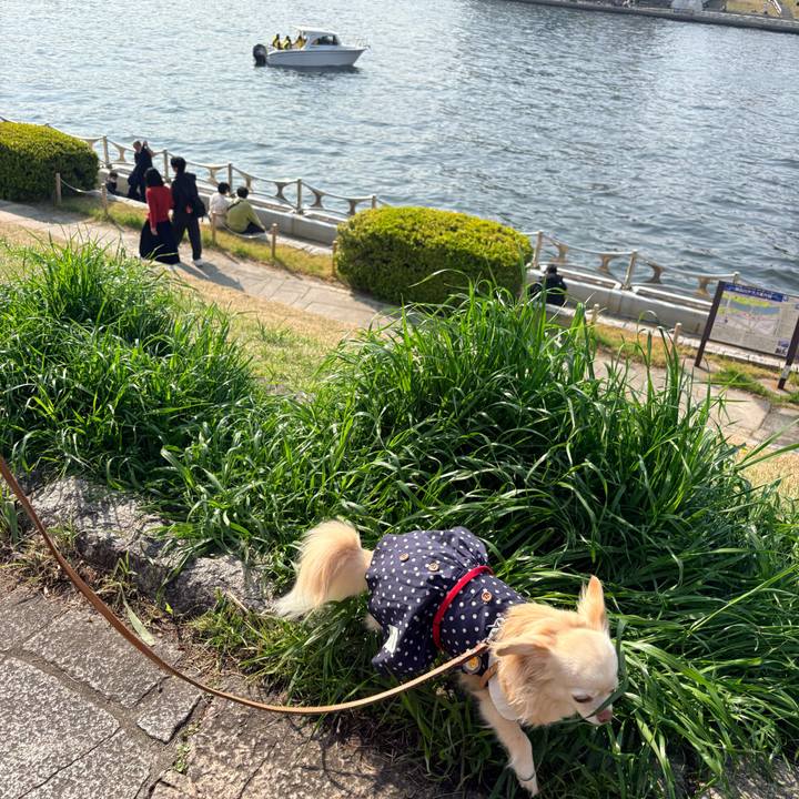 266aa0ee 7ac1 4bea 8a94 acb79f28502f 1774790792330