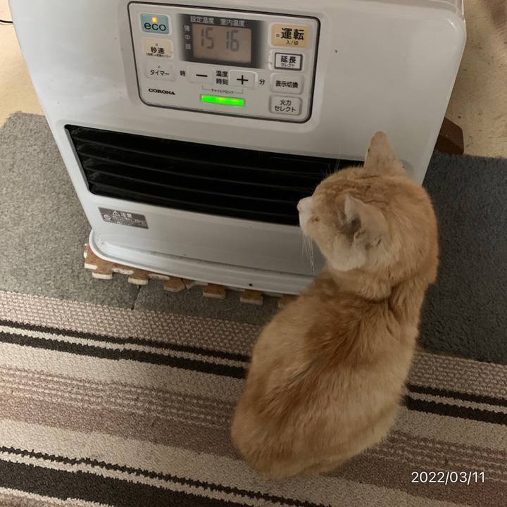 266aba40 27e9 4de6 bb3f 19ff6cf2ca45 1647005446214