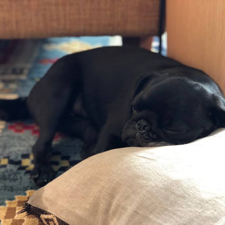 266acc1e 496d 43cd 944a d6eba14c95d2 1600468067406