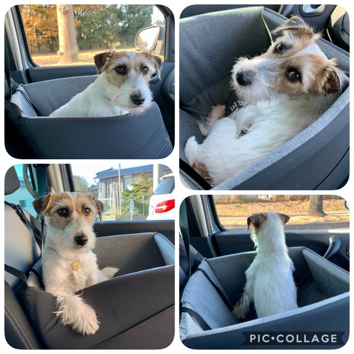 266b3ce1 1205 48b1 9b63 ed83f3465823 1607306691354