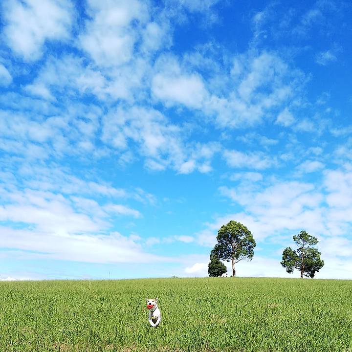 266b46b7 b709 45d7 96f3 cc6cd7b1afd0 1538888911976