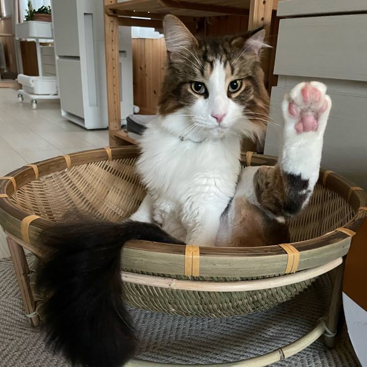 266ba0a7 fa99 4b66 8148 c21e10d78fc0 1659123530420