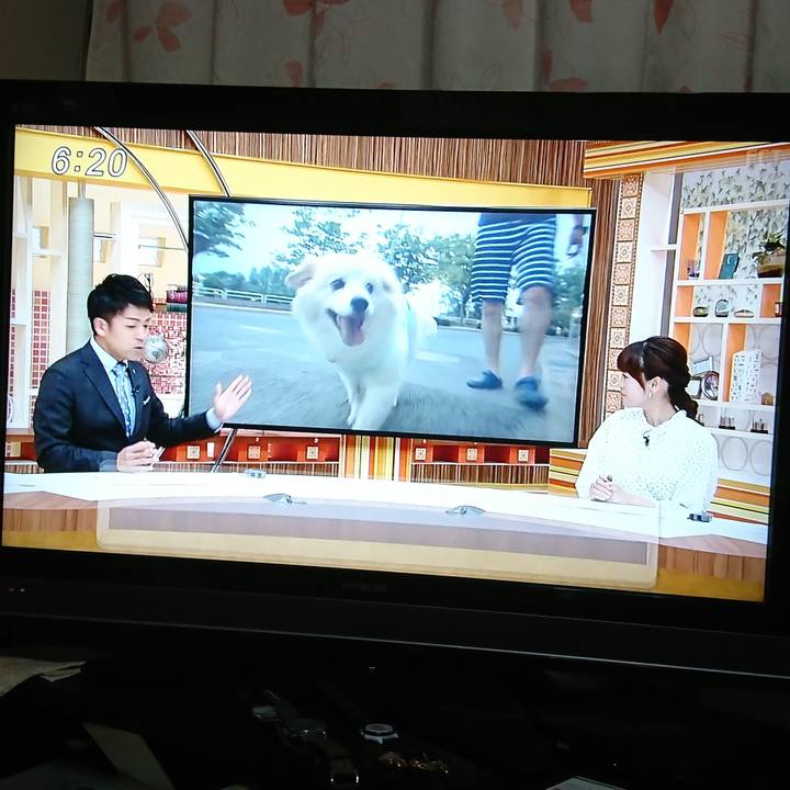 266bb1d8 5019 4187 b6d3 5b4643cbc625 1532601710752