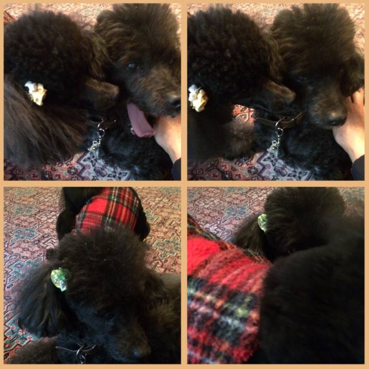 266c0e46 8658 4dcc a0b5 7bcfc29d80aa 1575174620491