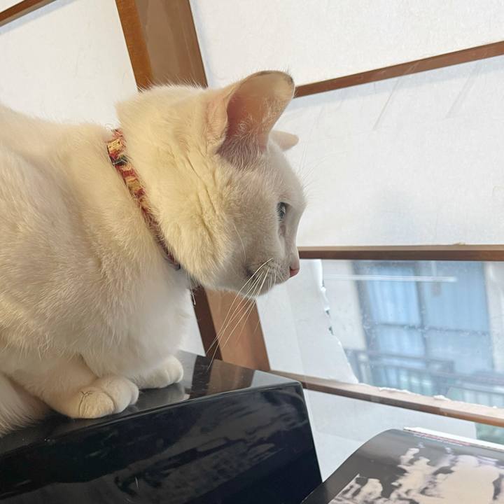 266c3369 d987 4c0b 9f19 cb9092b6fcc5 1769035904391