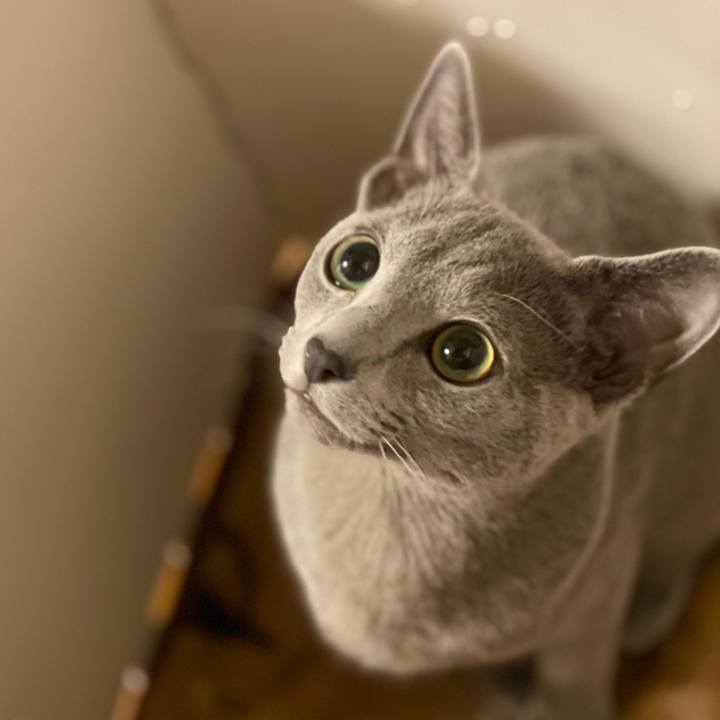 266c76b2 b6f2 48a3 9a0a 8aba925bff24 1611115146950