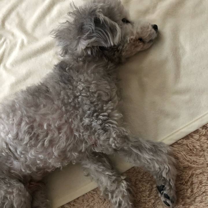 266c9b74 ac87 4794 bfe6 49130d1e5e9b 1548889794930