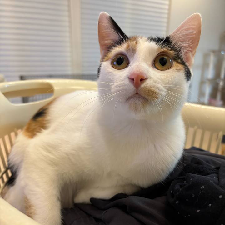 266cc832 a011 44a7 a461 fdef54d9ab39 1769068953532