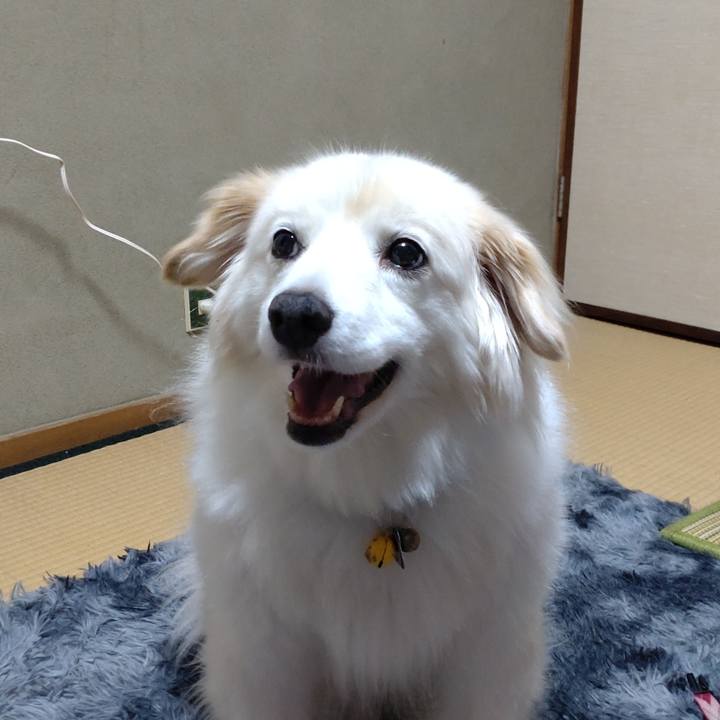 266cc8ec e627 4ee2 b98a 25065aaed752 1656888951353