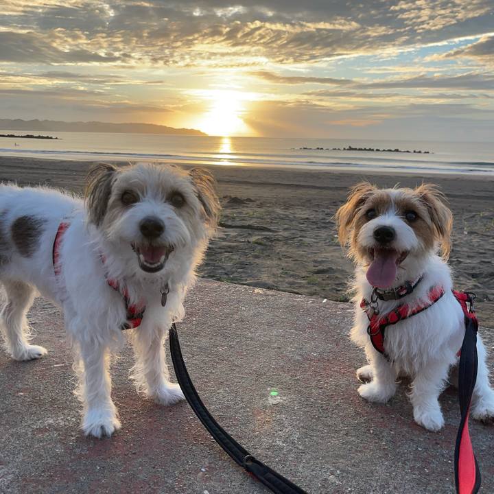 266cd3c1 d037 4aac 89e6 b7b6332bb545 1757717308428