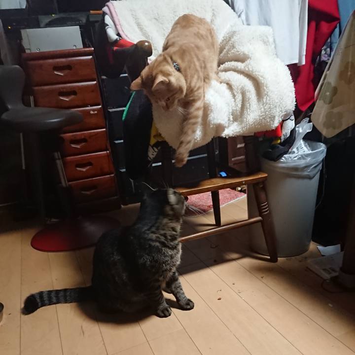 266cdc24 f870 4e60 824f 3627b3e9a0ec 1636838996715