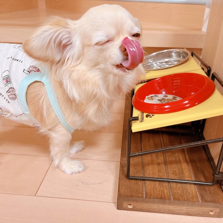 266d3d26 d27b 4104 bbd5 fc6b2949a882 1652090651110