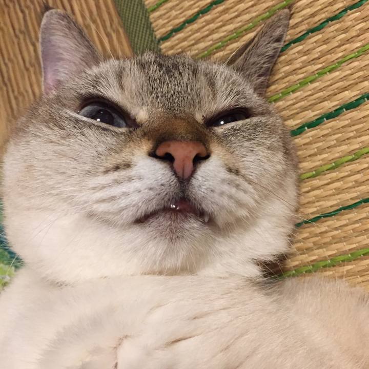 266d4b43 4023 42a3 b40f 8a69c99aa313 1565176579849