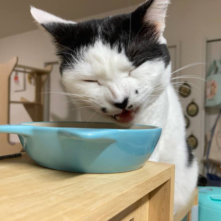 266d5386 8953 4a0d b891 410446b9bda5 1759005931680